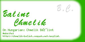 balint chmelik business card